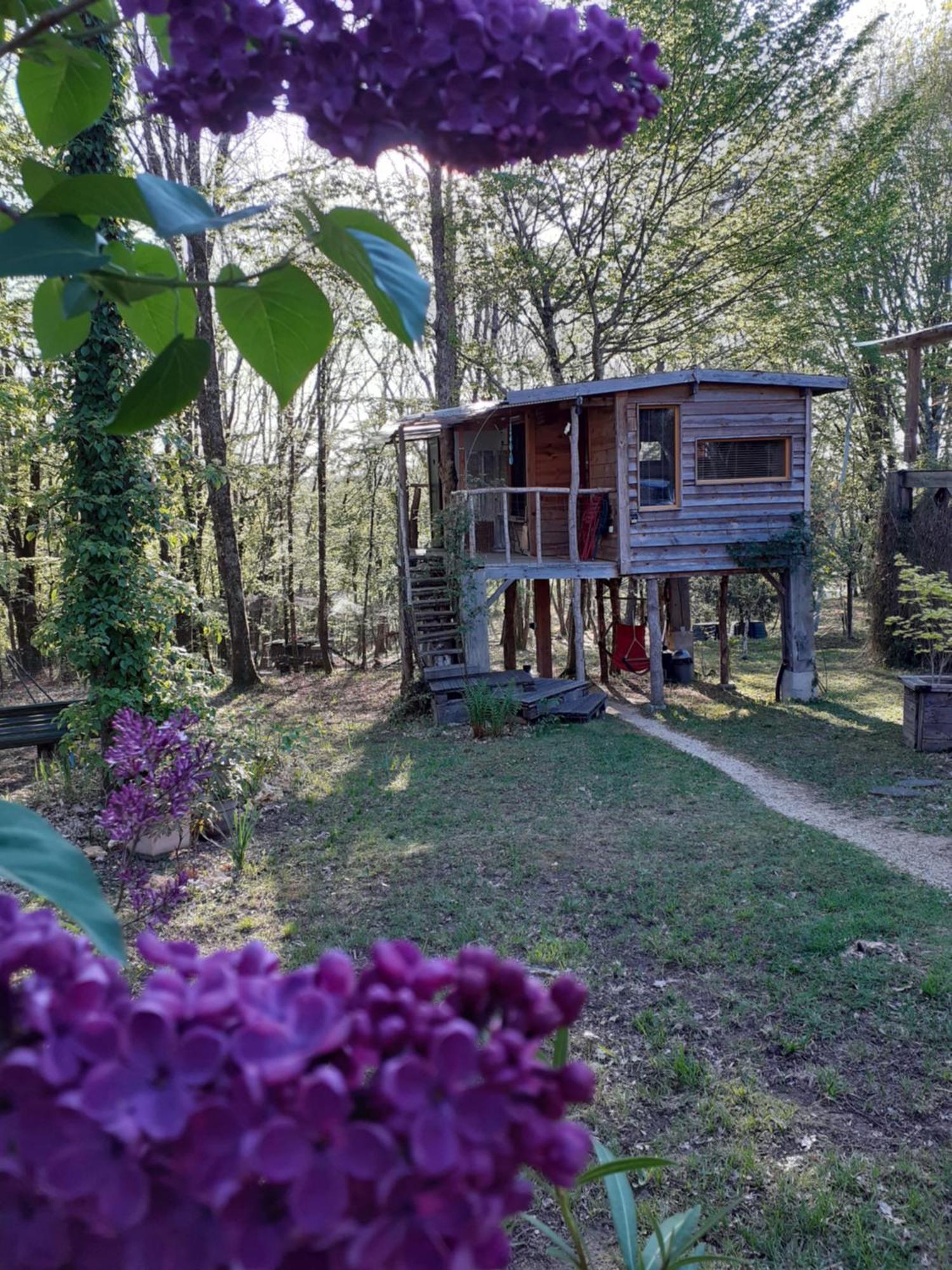 La Cabane De L'Oiseau Couze-et-Saint-Front Exterior foto